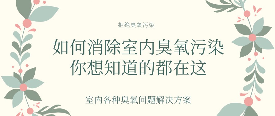 家用装备爆发的多余臭氧怎么去除