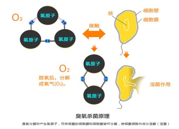 云顶国际集团(官网)首页登录