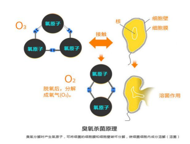 云顶国际集团(官网)首页登录